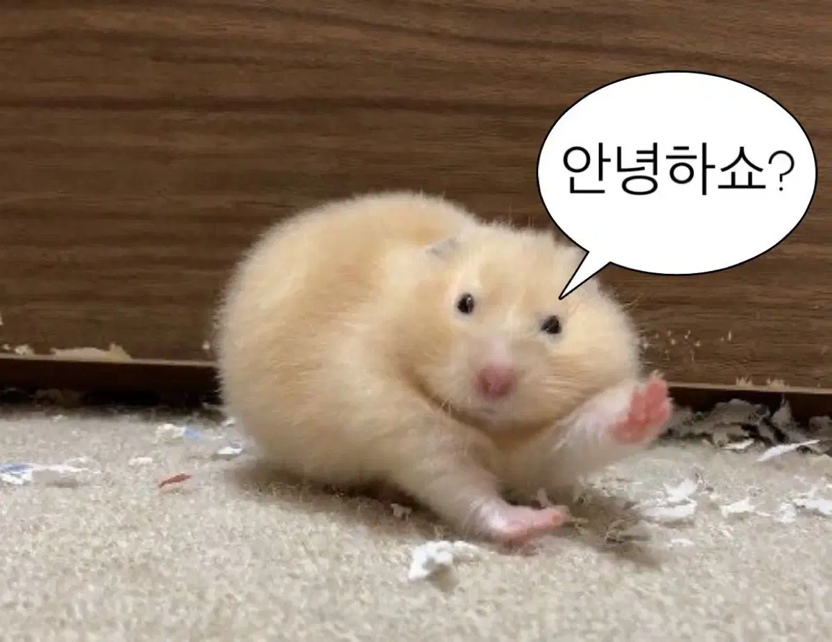 판매완료